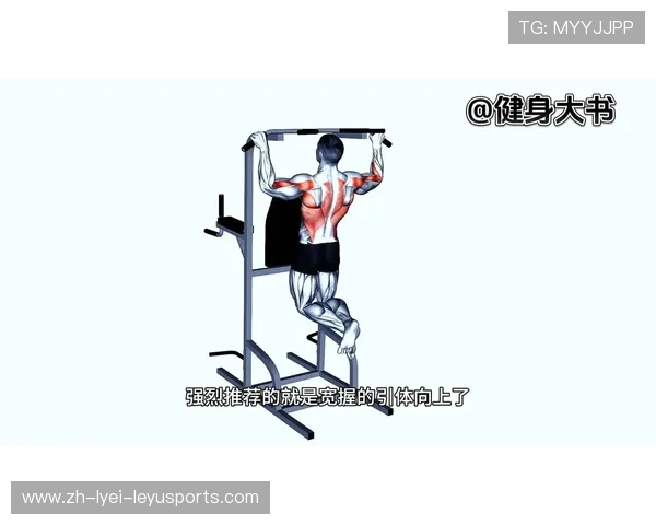 跪着的健身器材：跪姿训练用健身器材介绍与使用方法